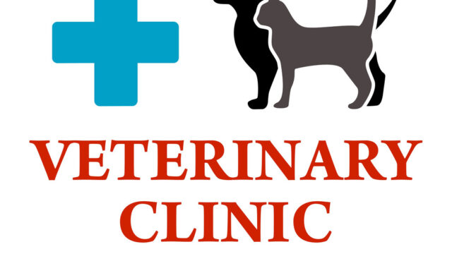Animal Hospital, Veterinary Clinics, Pets Care, Cat and Cow Hospital