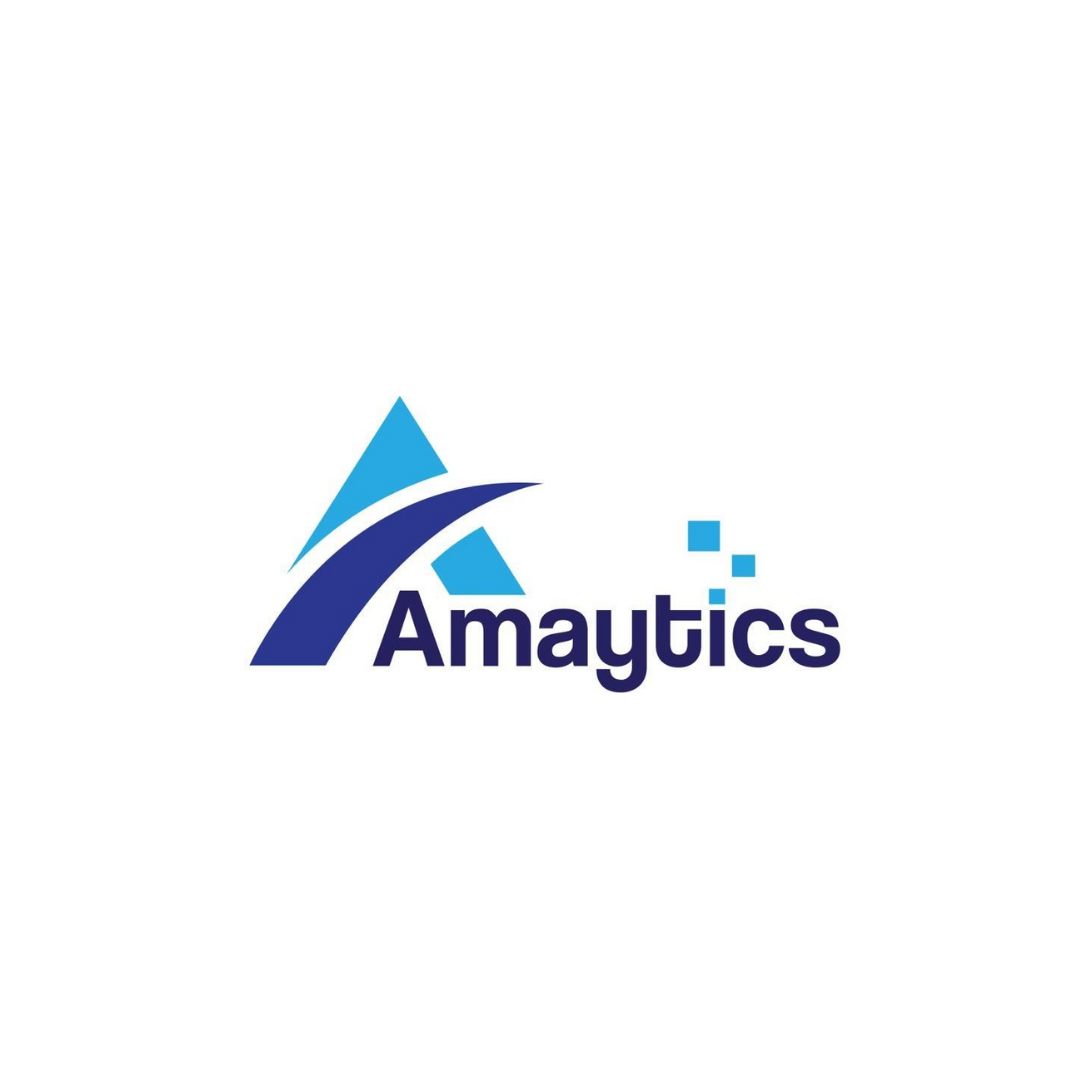 Amaytics Digital marketing Agency In Gurgaon