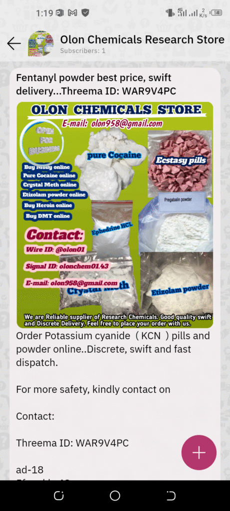 Screenshot_20251011-131957