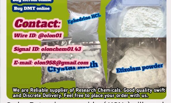 Screenshot_20251011-131957_1