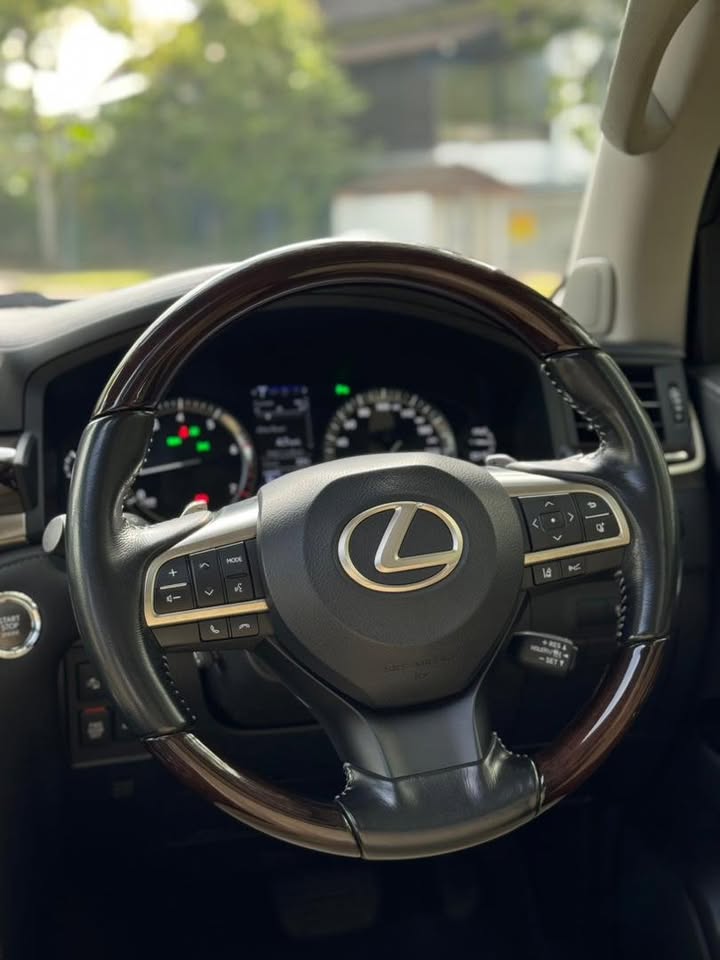 607623696_122162166698874656_2851614632530121826_n