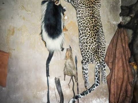 272880143_474078594121043_3188998318594641722_n