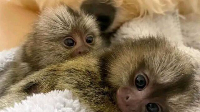 634660853_122095820565274490_8356935161639081069_n