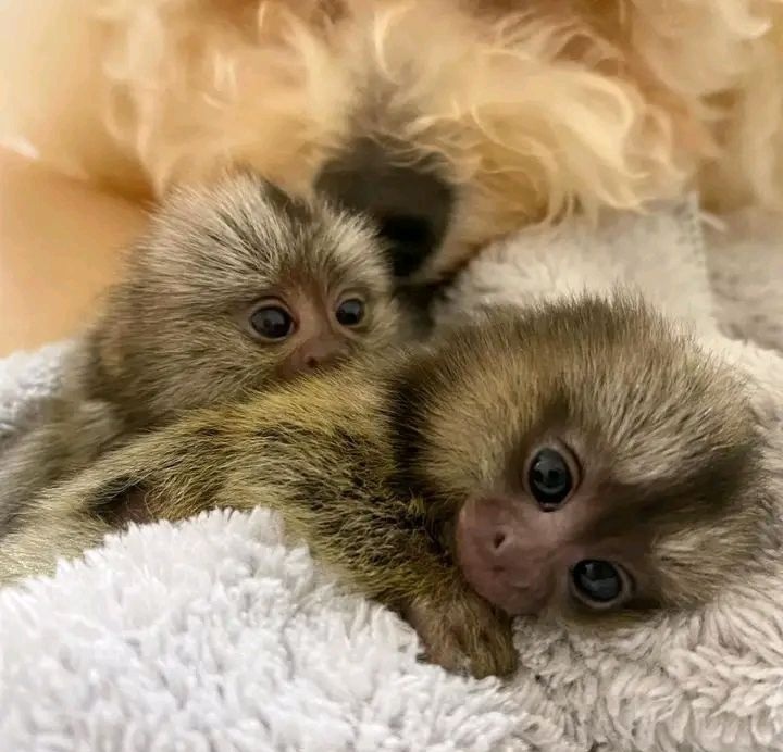 634660853_122095820565274490_8356935161639081069_n