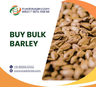 Buy-Bulk-Barley-1