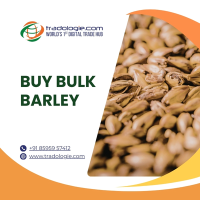 Buy-Bulk-Barley-1