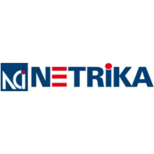 Netrika Consulting