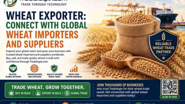 WheatExporterConnectWithGlobalWheatImportersandSupplier