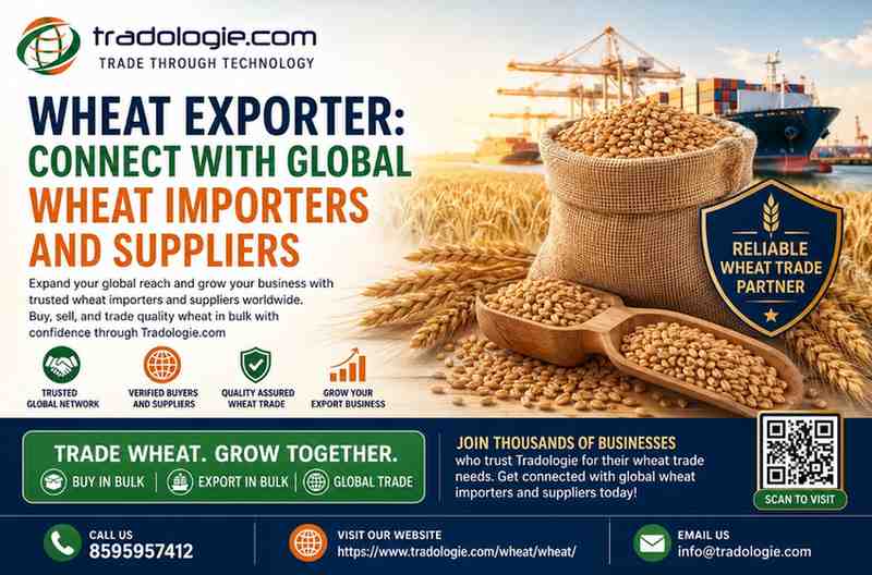 WheatExporterConnectWithGlobalWheatImportersandSupplier