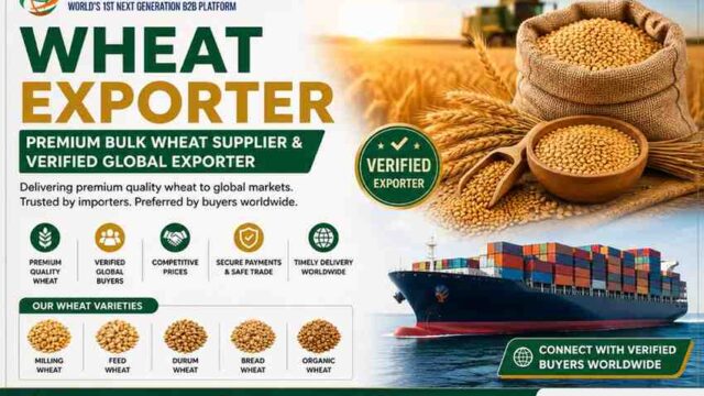 WheatExporterPremiumBulkWheatSupplierVerifiedGlobalExporte